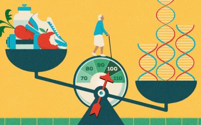 Live longer, live better: how to support your health and longevity